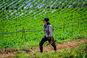 BIB: 
                            <button type="button" onclick="openModal(19164679)" class="btn btn-primary btn-sm float-right btn-popup" data-toggle="modal" data-target=".modal-high-quality">
                        <i class="fas fa-shopping-cart"></i> Add to Cart
                    </button>
                                            <button type="button" onclick="isThisMe(19164679, true)" class="btn btn-success btn-sm float-right btn-popup btn-isme hidden" data-toggle="tooltip" data-placement="bottom" title="นี่คือรูปของคุณใช่ไหม คลิกที่นี่เพื่อเอาเข้าอัลบั้ม">
                        <i class="fas fa-plus"></i> Add to album
                    </button>
                    <button type="button" onclick="isThisMe(19164679, false)" class="btn btn-warning btn-sm float-right btn-popup btn-isnotme hidden">
                        <i class="fas fa-ban"></i> Remove from album
                    </button>